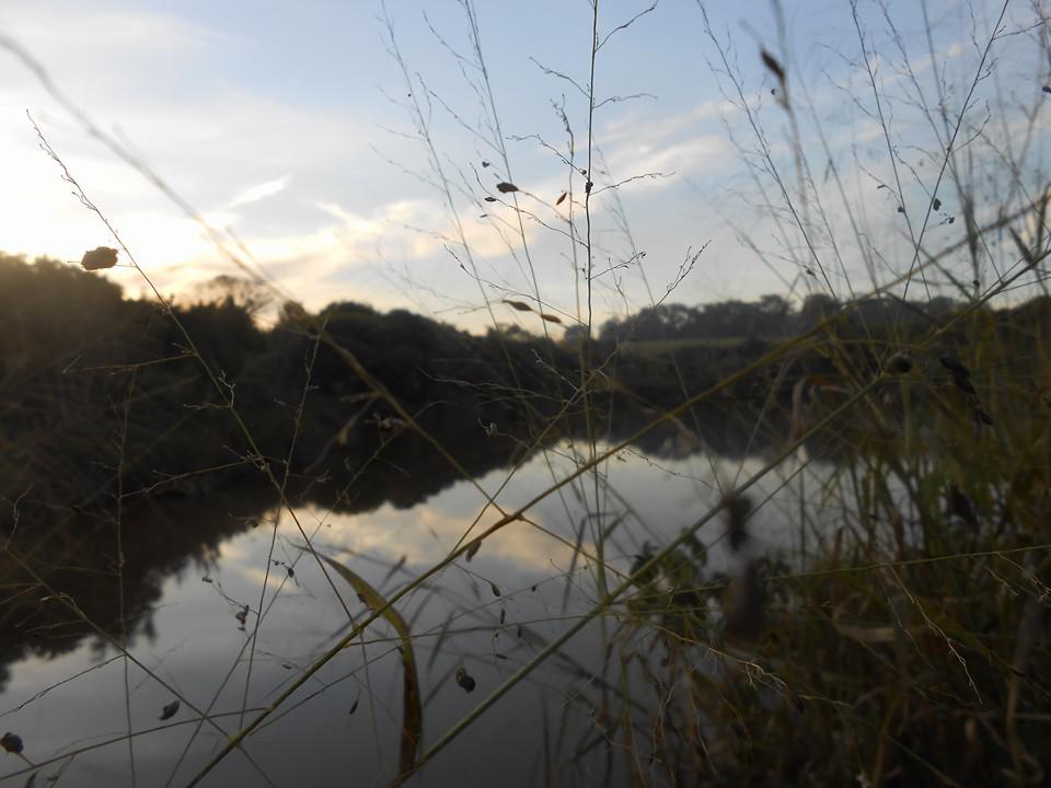 buscando inspiração