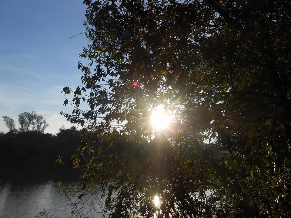 buscando inspiração 2