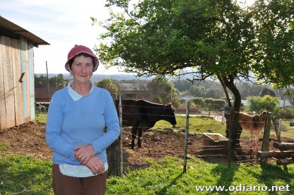 Destaque do Meiso de Argosto