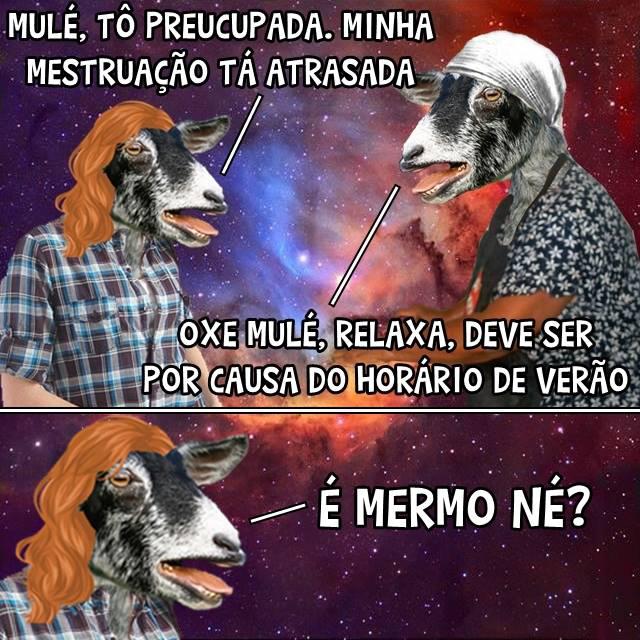 sabedoria eh tudo neh kk