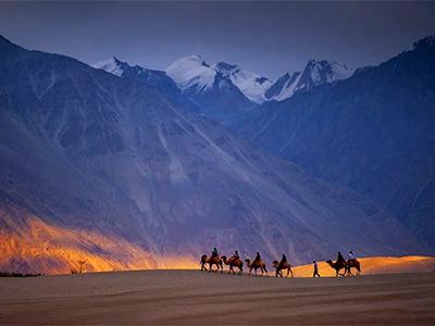 Leh Nubra Pangong Tour